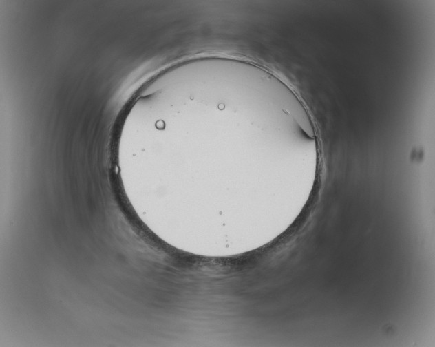 X0000111880199200909031848