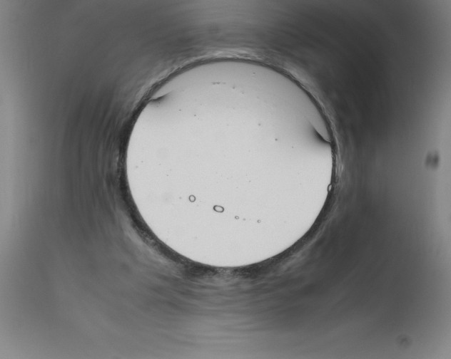 X0000111880201200909031848