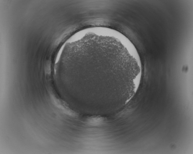 X0000111880202200909031848