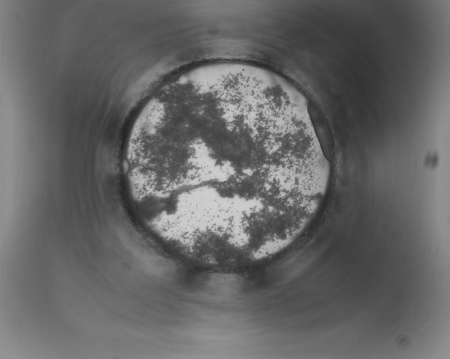 X0000111880203200909031848