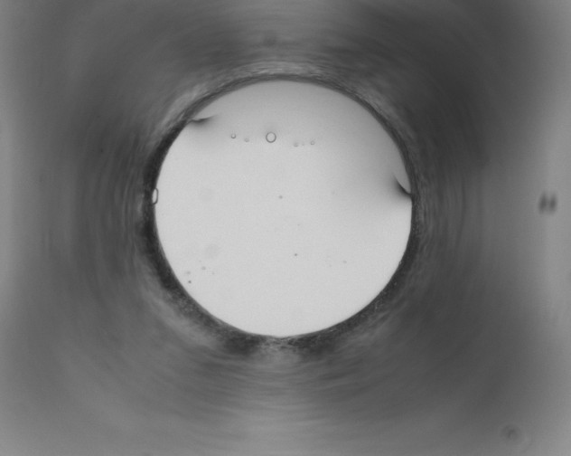 X0000111880207200909031848