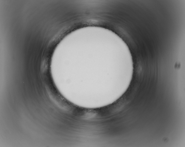 X0000111880214200909031848