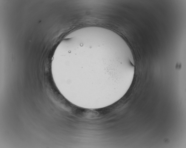 X0000111880215200909031848