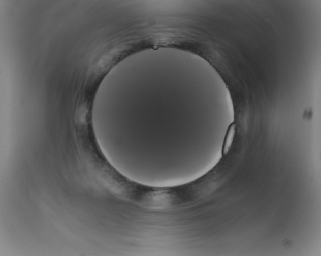 X0000111880219200909031848
