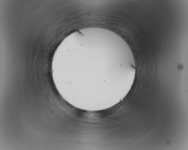 X0000111880221200909031848