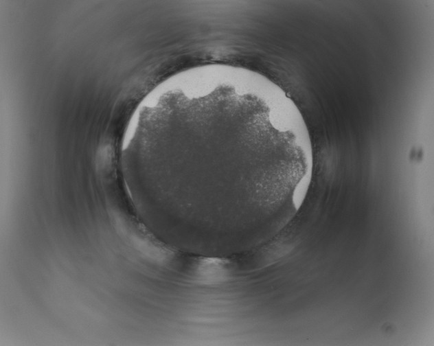 X0000111880222200909031848