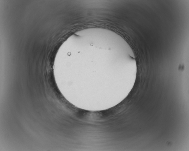 X0000111880223200909031848