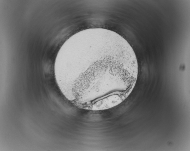 X0000111880228200909031848
