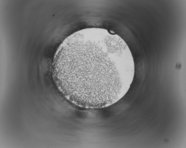 X0000111880229200909031848