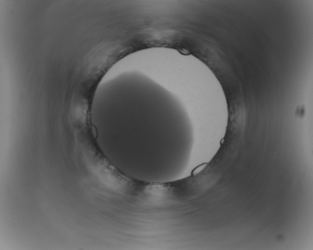 X0000111880231200909031848
