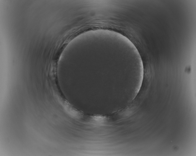 X0000111880233200909031848