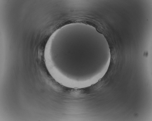 X0000111880235200909031848