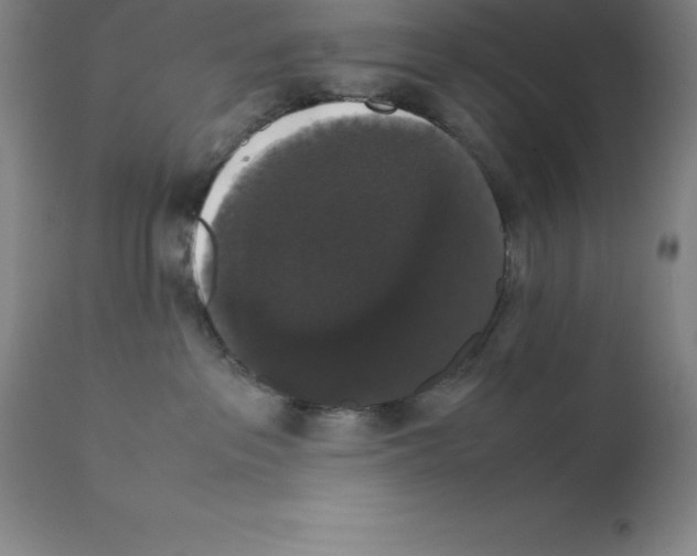 X0000111880237200909031848