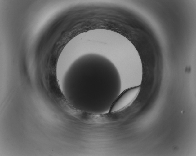 X0000111880239200909031848