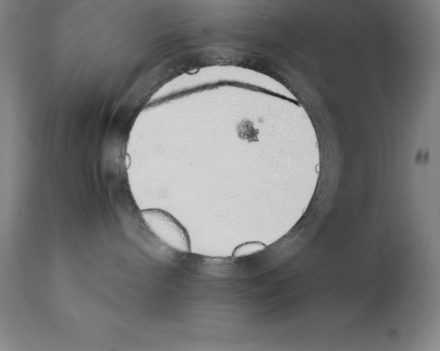 X0000111880240200909031848