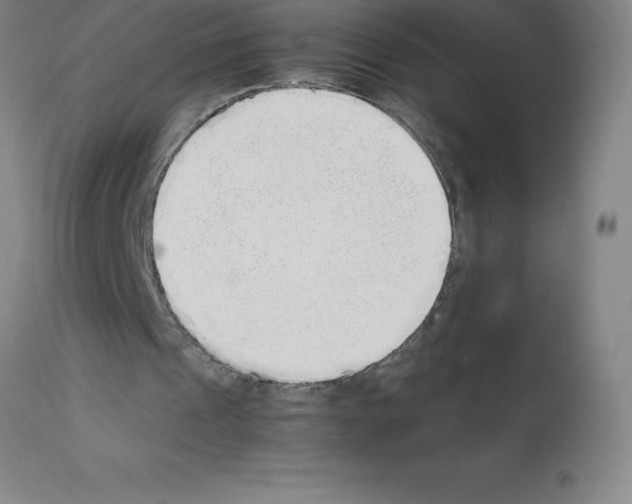 X0000111880241200909031847
