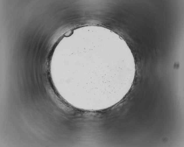 X0000111880242200909031847
