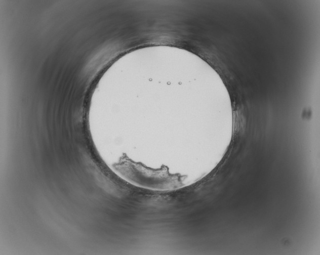 X0000111880243200909031847