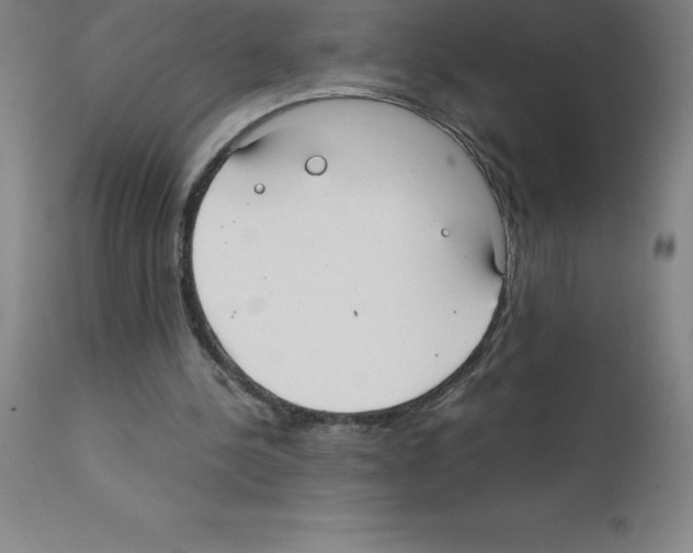 X0000111880244200909031847