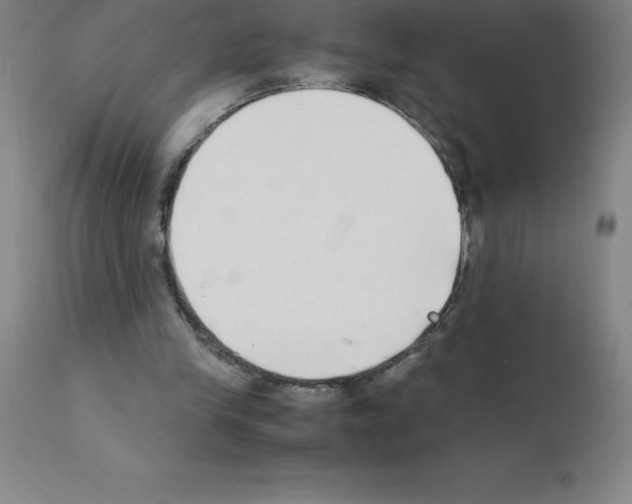 X0000111880245200909031847