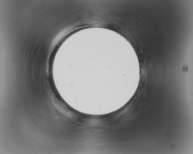 X0000111880246200909031847