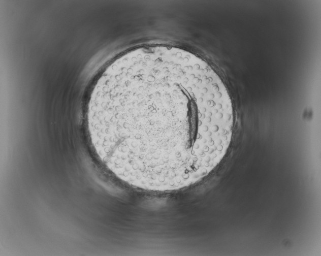 X0000111880247200909031847
