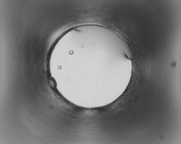 X0000111880248200909031847