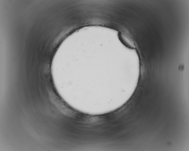 X0000111880249200909031847