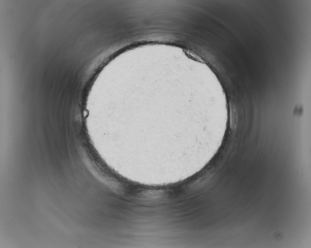 X0000111880252200909031847
