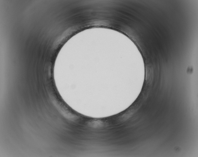 X0000111880253200909031847