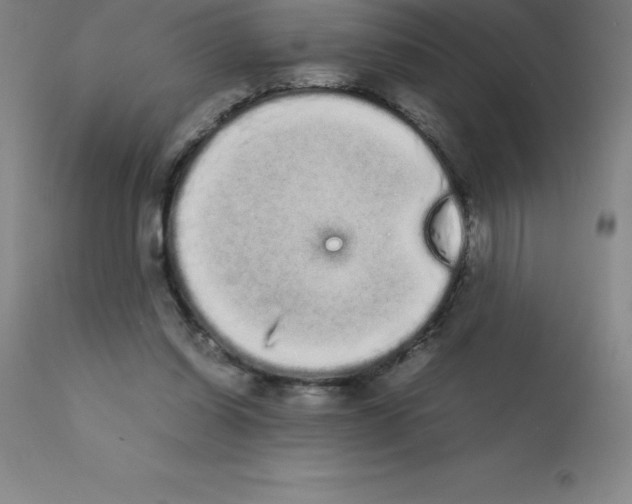 X0000111880254200909031847