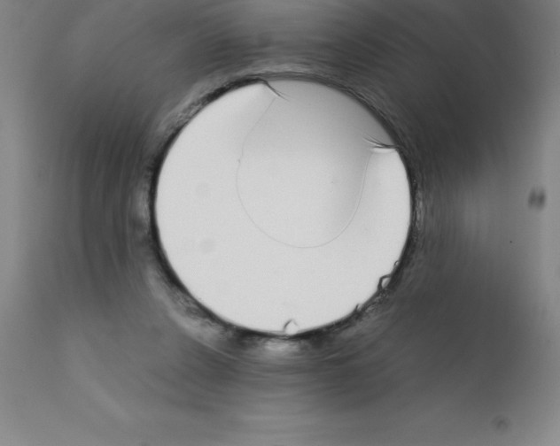 X0000111880256200909031847