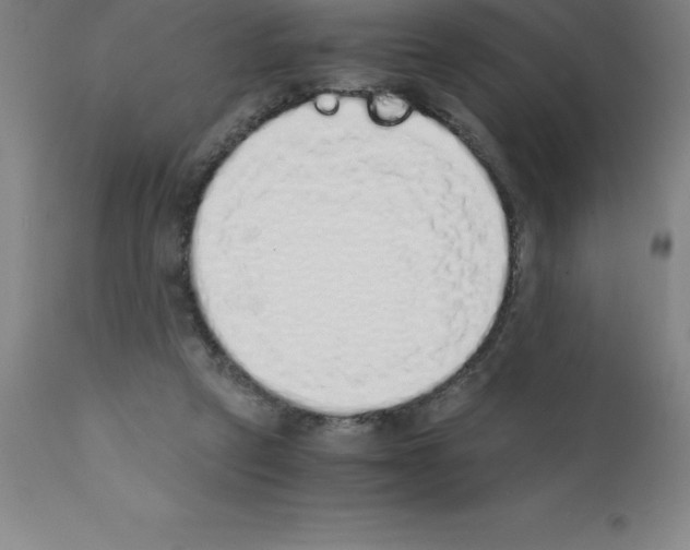 X0000111880257200909031847