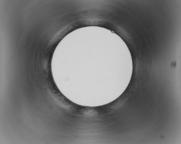 X0000111880258200909031847