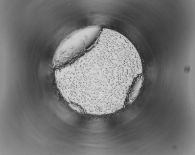 X0000111880260200909031847
