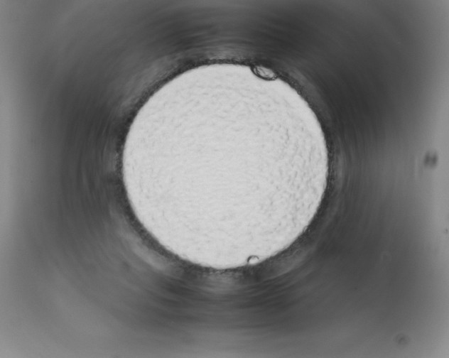 X0000111880261200909031847