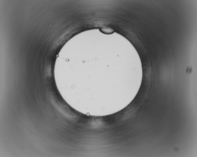 X0000111880262200909031847
