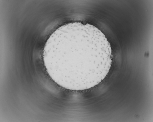 X0000111880264200909031847