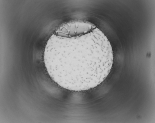 X0000111880268200909031847