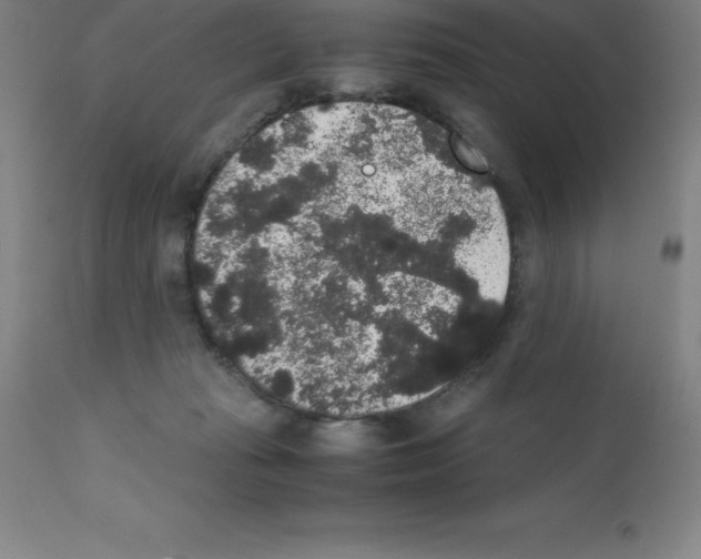 X0000111880269200909031847