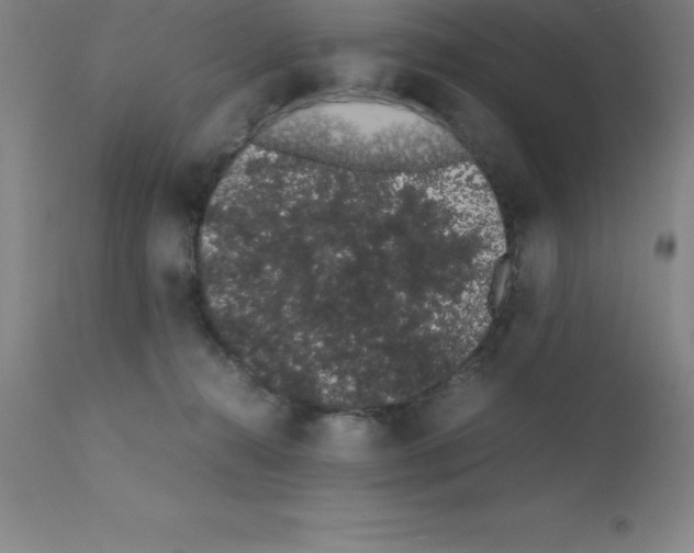 X0000111880272200909031847