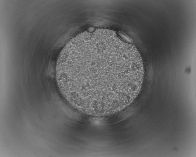 X0000111880273200909031847