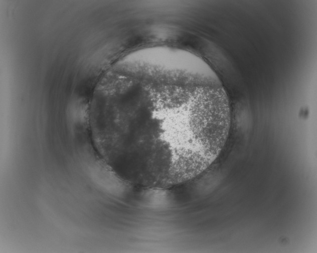 X0000111880276200909031847