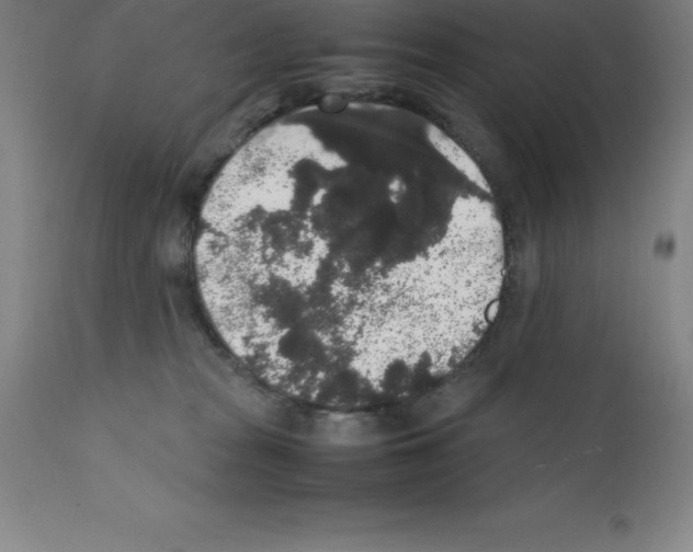 X0000111880277200909031847