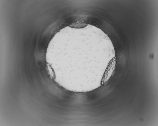 X0000111880280200909031848