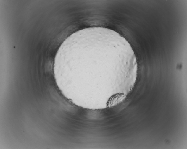 X0000111880281200909031848