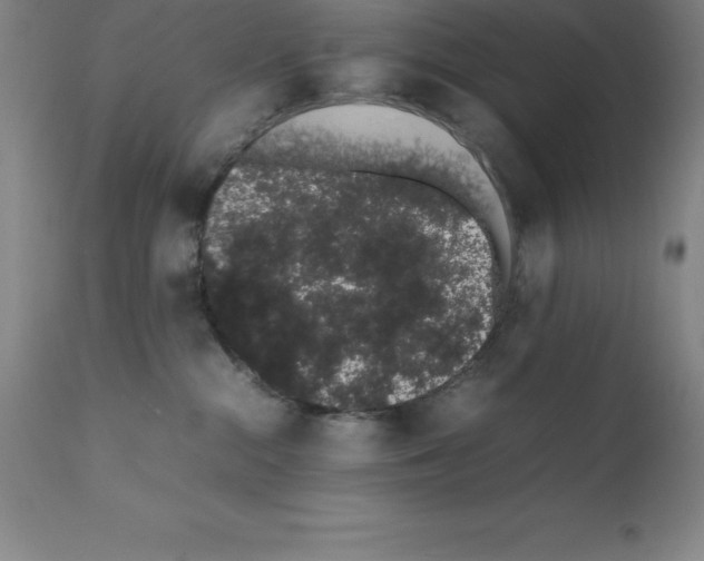 X0000111880284200909031848