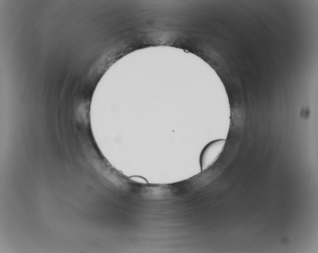 X0000111880286200909031848