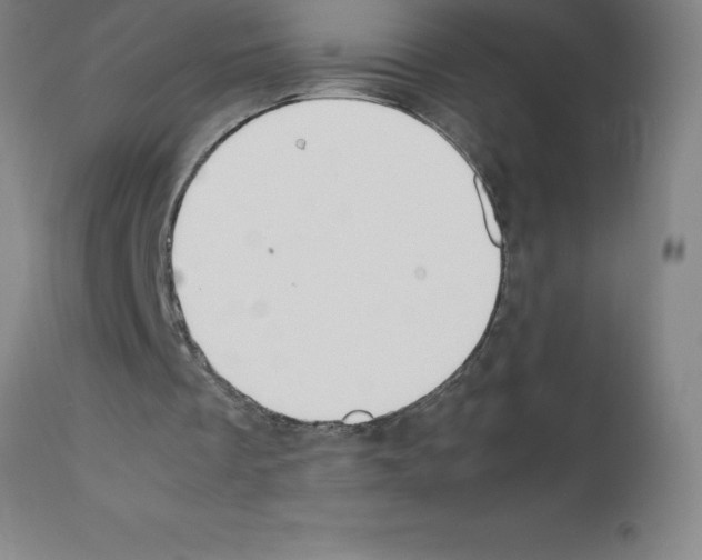X0000111880289200909031847