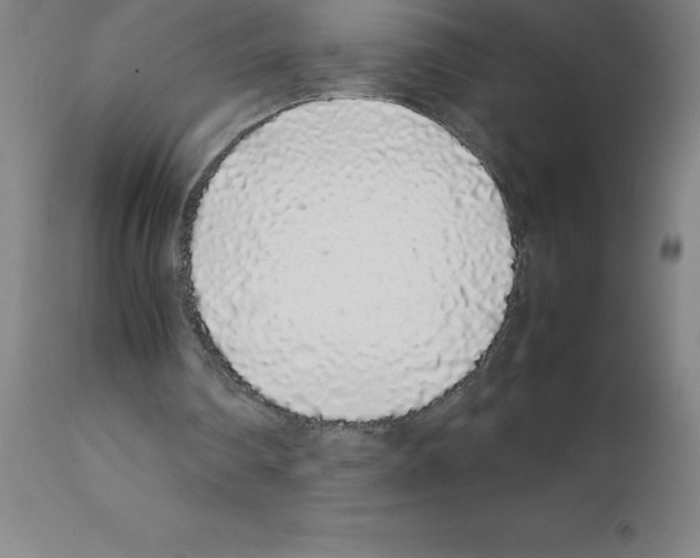 X0000111880290200909031847